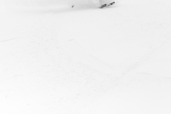Portfolio | Ole Kliem SNOW