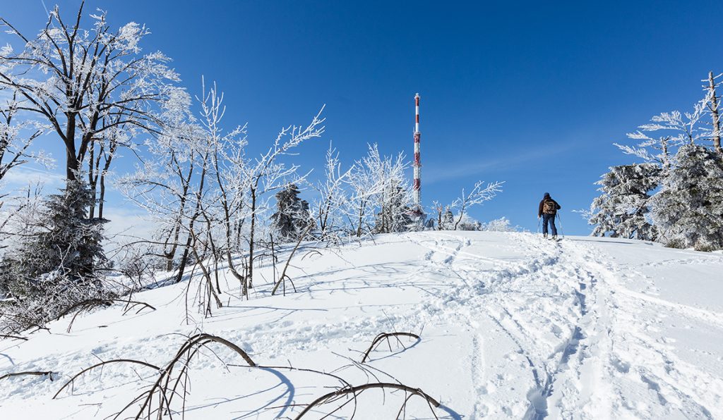 Mathis auf unserer Skitour kurz vor der Spitze des Gaisbergs.