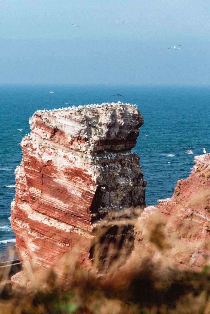 Die bekannten, rot-leuchtenden Felsen Helgolands. Die rote Anna in ihrer ganzen Pracht.