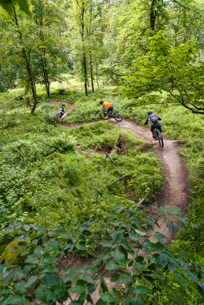 Anna Kantner, Daniel Huemer & Max Reiser von MTb Linz auf dem Hornissen-Trail.