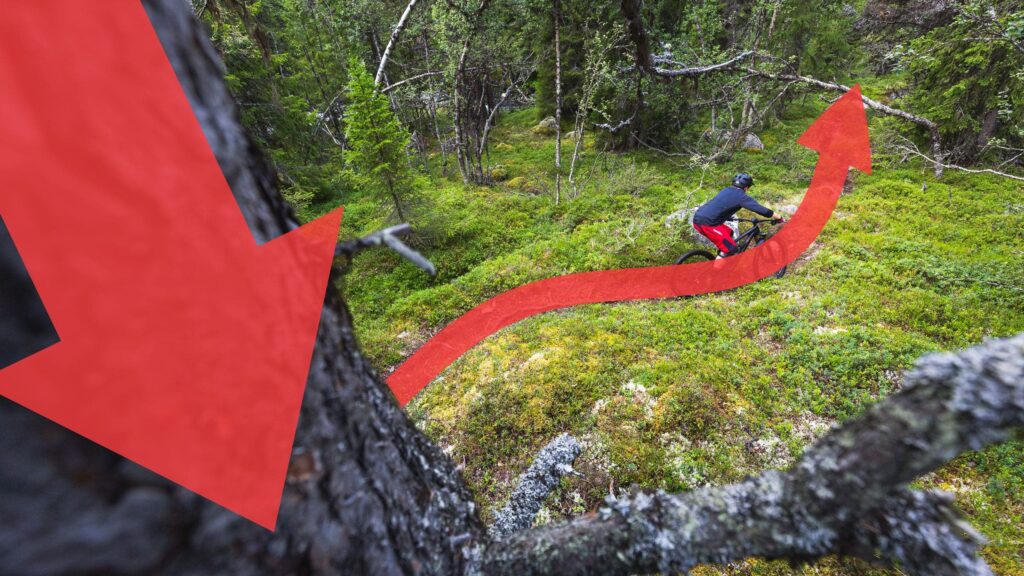 Ein Mountainbiker auf einem Pfad, von einem Baum fotografiert. Zwei rote Pfeile von der linken Ecke sowie entlang des Pfades verdeutlichen die Wirkung von Führungslinien.