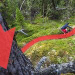 Ein Mountainbiker auf einem Pfad, von einem Baum fotografiert. Zwei rote Pfeile von der linken Ecke sowie entlang des Pfades verdeutlichen die Wirkung von Führungslinien.