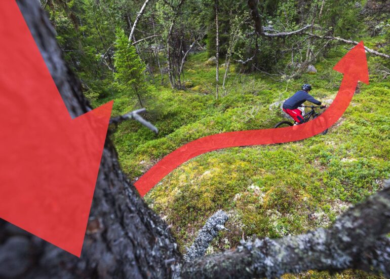 Ein Mountainbiker auf einem Pfad, von einem Baum fotografiert. Zwei rote Pfeile von der linken Ecke sowie entlang des Pfades verdeutlichen die Wirkung von Führungslinien.