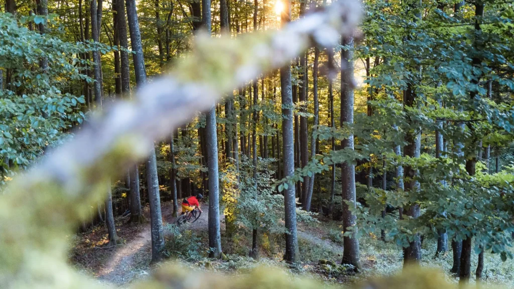 Ein Mountainbiker mit einem roten Shirt auf einem Trail in einem grünen Wald, um die Wirkung von Farbkontrasten zu verdeutlichen.