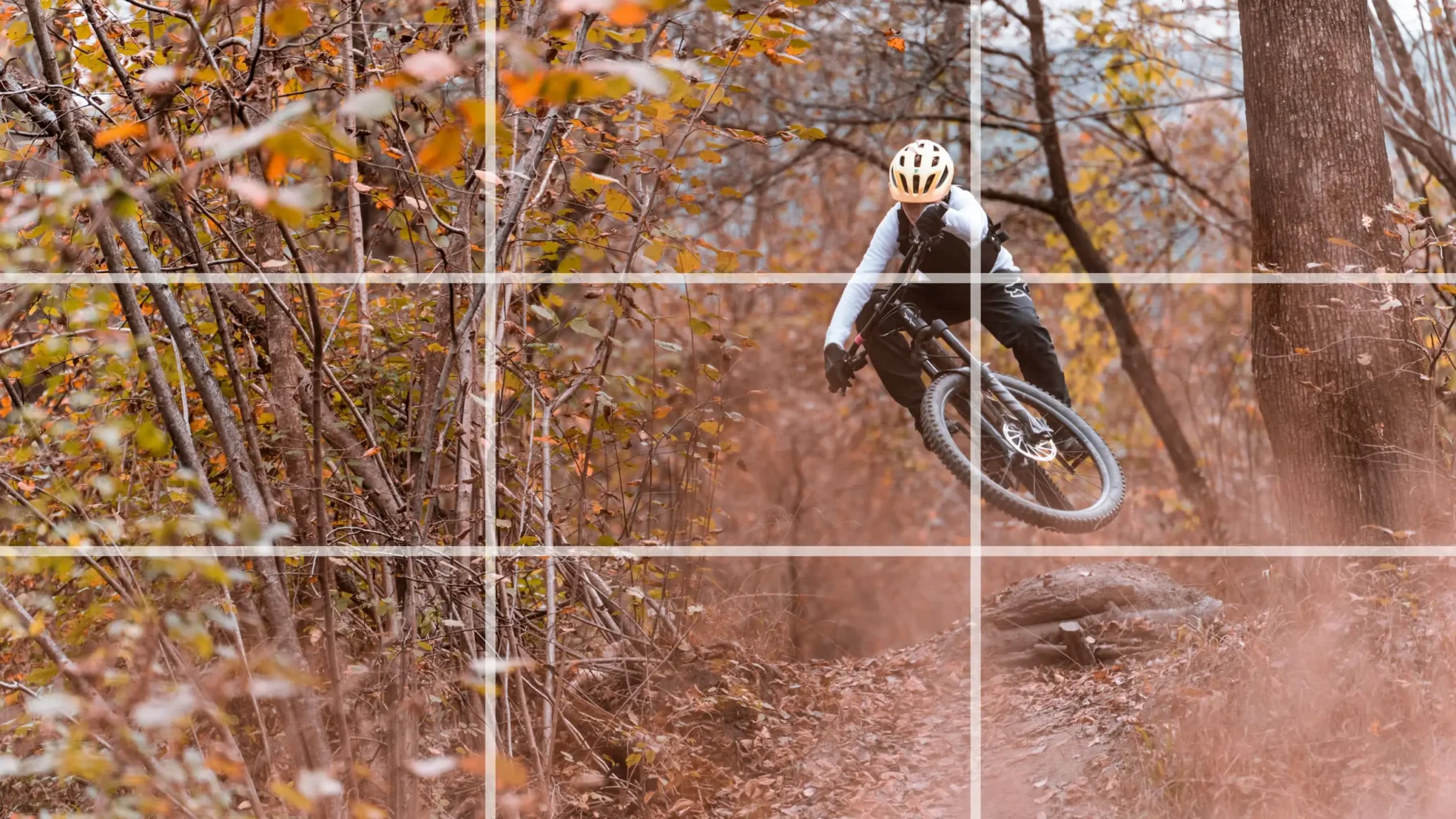 Ein Mountainbiker fährt durch einen Wald. Um die Drittel-Regel zu veranschaulichen, wurde darüber ein Overlay-Gitter gelegt.